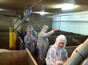 Fancom BV staff visiting a pig farm participating in EU-PLF.