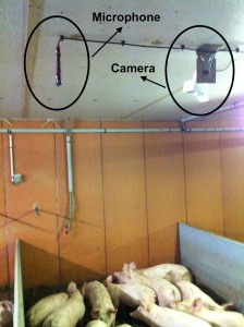 PCM technology installed and in use.