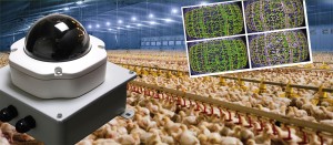 The camera system showing bird distribution such as in the image could help in complying with the Boiler Directive.